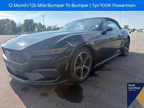 Used 2025 Ford Mustang Premium RWD image 6