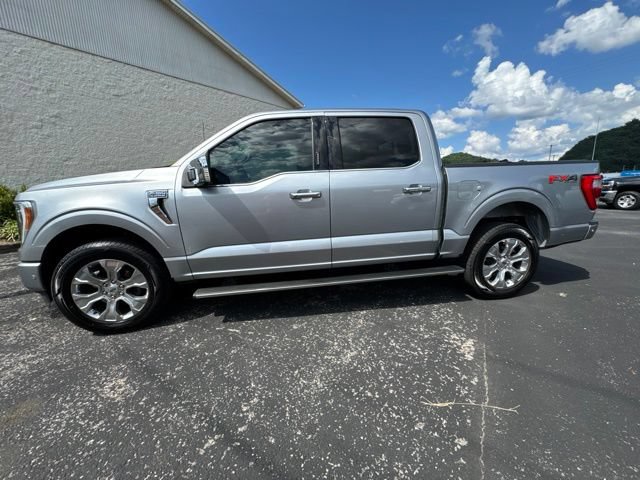 Used 2023 Ford F150 Platinum w/ Equipment Group 701A High AWD/4WD image 4