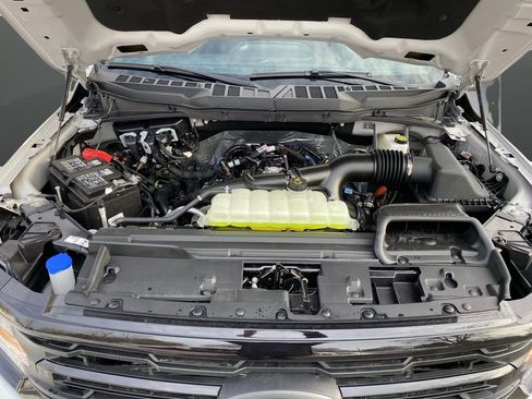 New 2025 Ford F150 XLT w/ Equipment Group 302A MID image 52