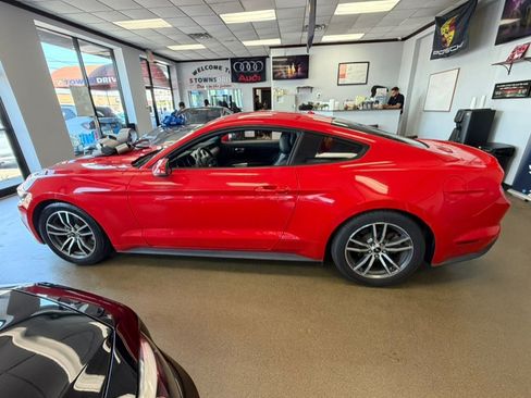 Used 2015 Ford Mustang Premium RWD image 9