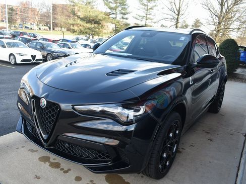 New 2024 Alfa Romeo Stelvio Quadrifoglio w/ Active Assist Plus Package image 6