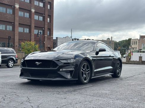 Used 2019 Ford Mustang GT w/ Equipment Group 301A RWD image 1