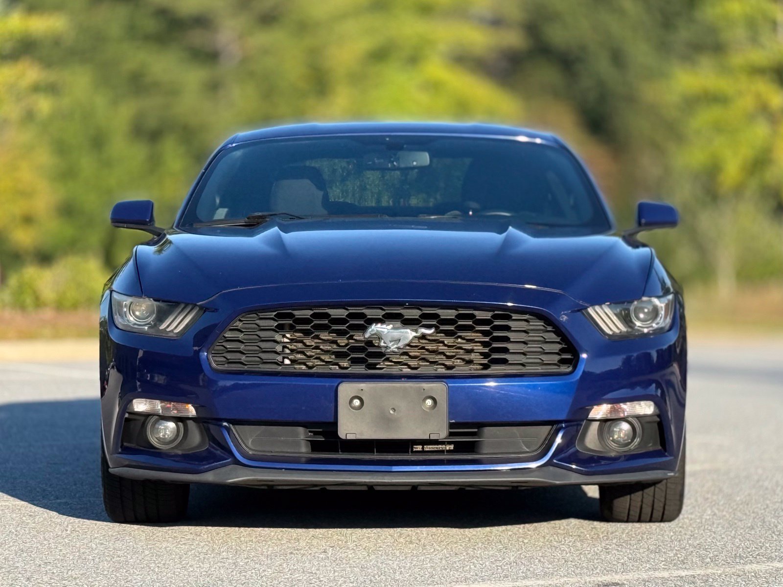 Used 2016 Ford Mustang Coupe w/ Equipment Group 051A RWD image 3