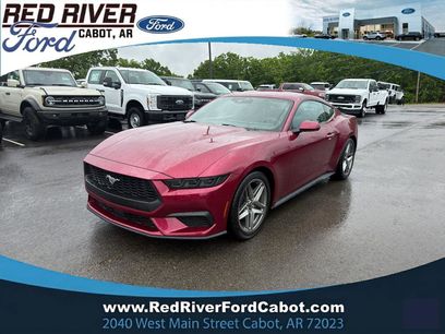 Used 2025 Ford Mustang Coupe