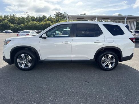 Certified 2025 Honda Pilot EX-L image 7