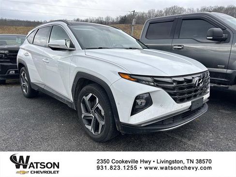 Used 2024 Hyundai Tucson Limited image 1