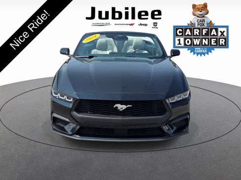 Used 2024 Ford Mustang Premium RWD image 2