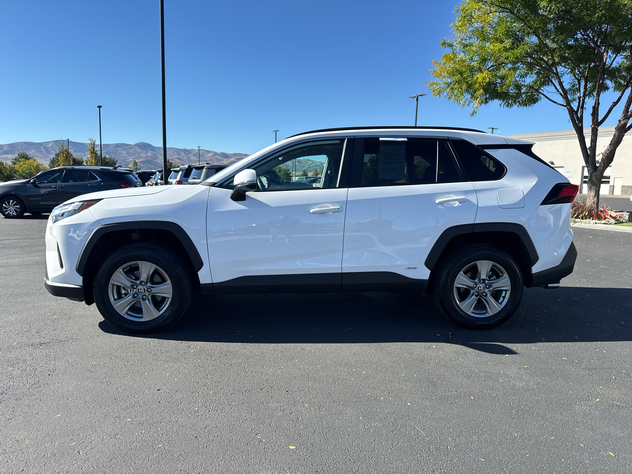 Certified 2025 Toyota RAV4 XLE w/ Weather Package AWD/4WD image 6