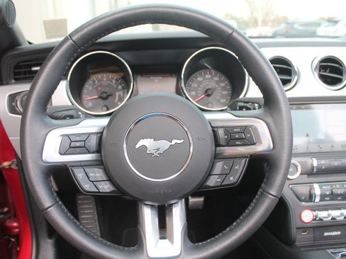 Used 2017 Ford Mustang GT Premium w/ Equipment Group 401A image 14