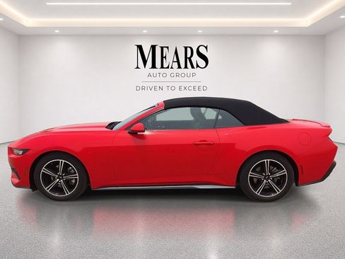 Used 2024 Ford Mustang Premium RWD image 2