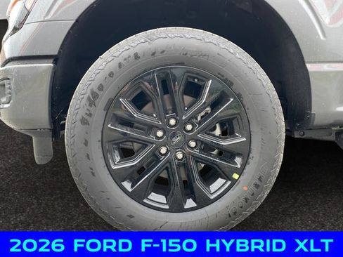 New 2026 Ford F150 XLT w/ Equipment Group 303A High AWD/4WD image 14