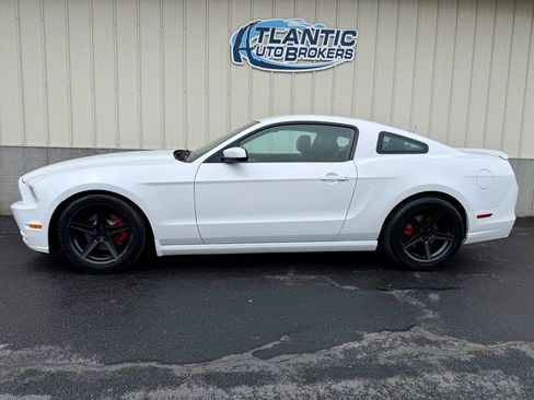 Used 2014 Ford Mustang Premium w/ Equipment Group 201A image 2