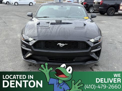 Used 2019 Ford Mustang Coupe w/ Equipment Group 101A image 2