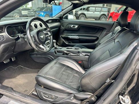 Used 2019 Ford Mustang Premium w/ Equipment Group 201A RWD image 10