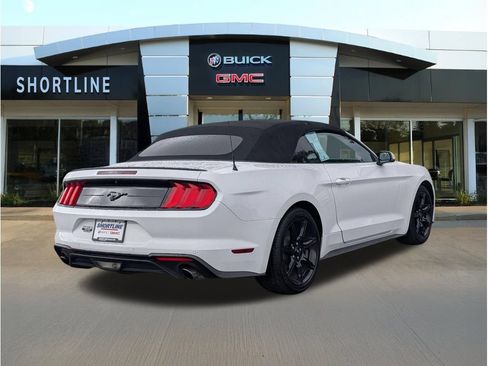 Used 2019 Ford Mustang Premium w/ Equipment Group 201A RWD image 3