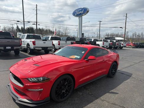 Used 2023 Ford Mustang Premium image 4