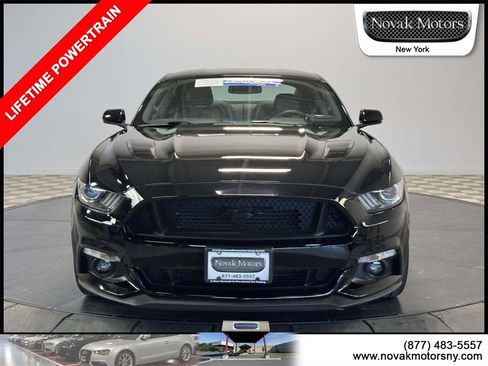 Used 2017 Ford Mustang GT Premium w/ Equipment Group 401A image 2