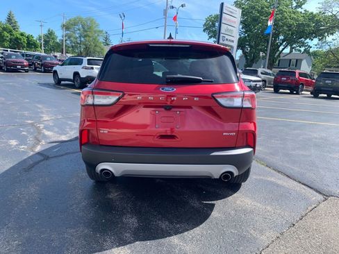 Used 2020 Ford Escape SE AWD/4WD image 6