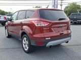Used 2014 Ford Escape SE image 4