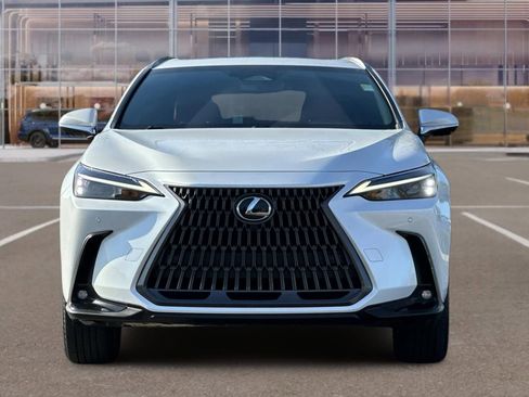 Used 2025 Lexus NX 350h AWD w/ Cold Area Package image 6