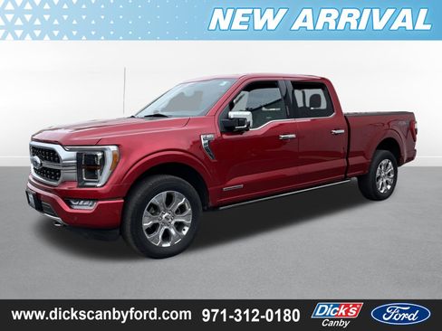 Used 2021 Ford F150 Platinum w/ Equipment Group 701A High AWD/4WD image 1