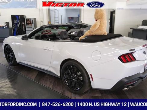 Used 2025 Ford Mustang Premium image 3