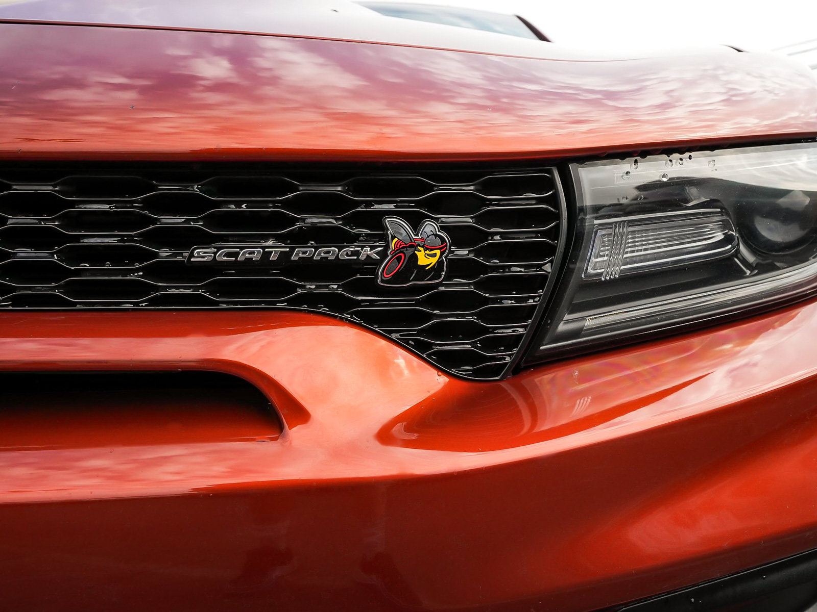 Used 2021 Dodge Charger Scat Pack RWD image 49