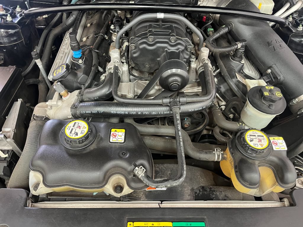 Used 2007 Ford Mustang Shelby GT500 RWD image 12