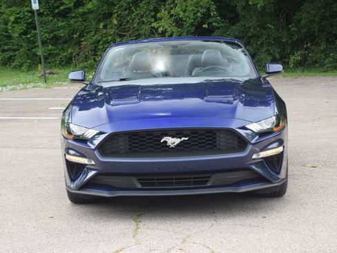 Used 2018 Ford Mustang Premium w/ Equipment Group 201A RWD image 18