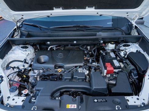 Certified 2025 Toyota RAV4 XLE Premium image 13