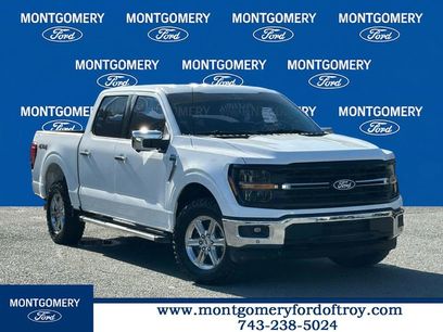 Used 2024 Ford F150 XLT w/ Equipment Group 302A MID