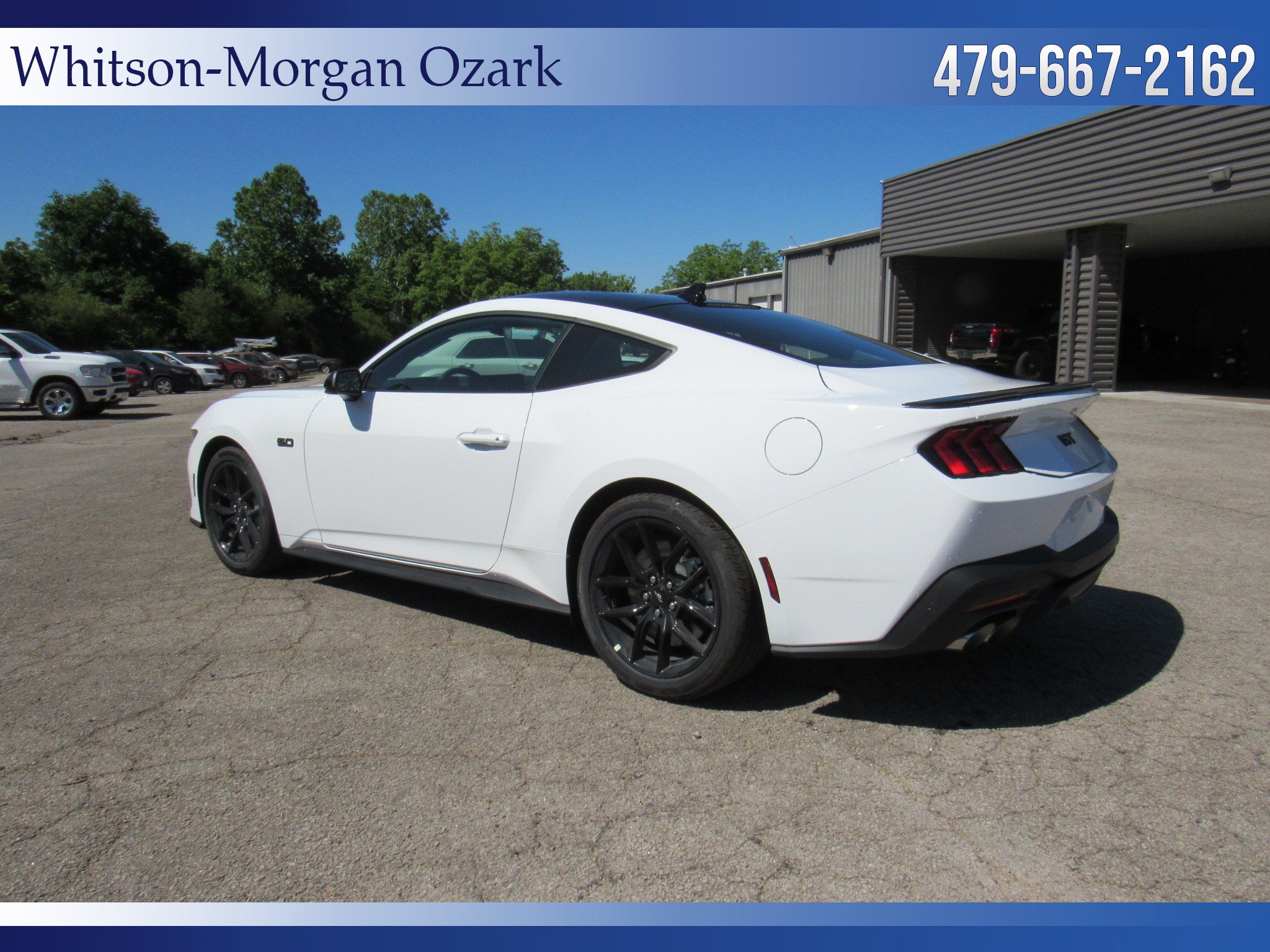 New 2026 Ford Mustang GT w/ Mustang Nite Pony Package RWD image 12