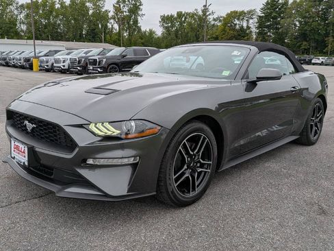 Used 2020 Ford Mustang Premium w/ Equipment Group 201A RWD image 4