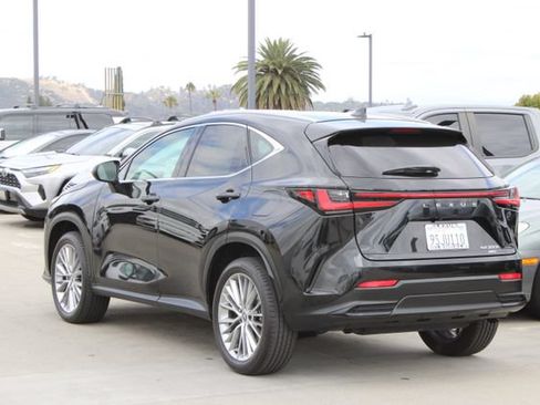 Certified 2025 Lexus NX 350h AWD w/ Cold Area Package image 19