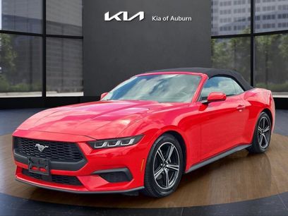 Used 2024 Ford Mustang Premium