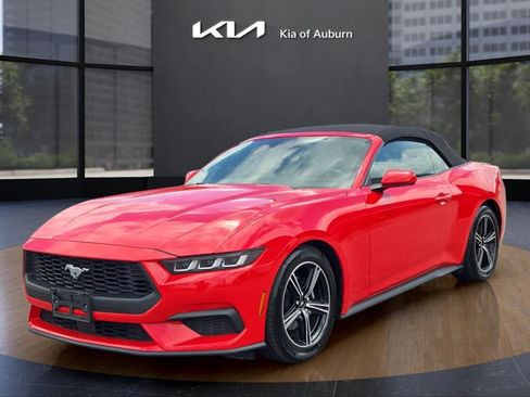 Used 2024 Ford Mustang Premium image 1