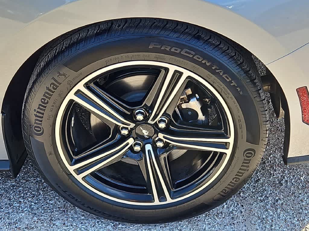 Used 2025 Ford Mustang Coupe RWD image 12