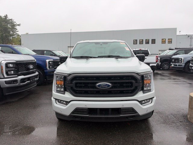 Used 2023 Ford F150 XLT w/ Equipment Group 302A High AWD/4WD image 2