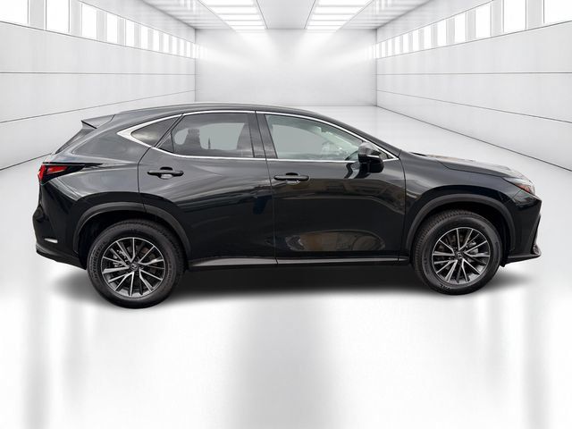 Certified 2024 Lexus NX 350h AWD w/ Vision Package image 4