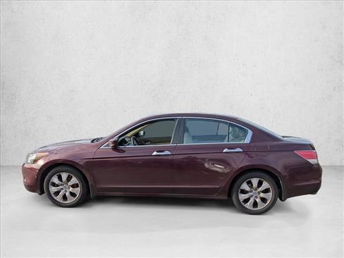 Used 2010 Honda Accord EX-L image 8