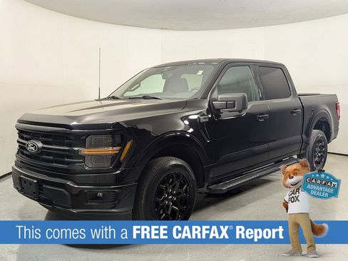 Used 2024 Ford F150 XLT w/ XLT Black Appearance Package image 3