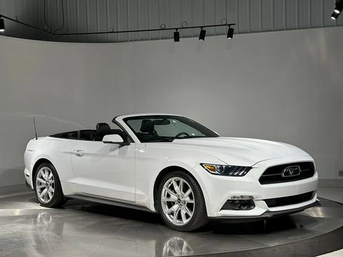 Used 2015 Ford Mustang Premium w/ Equipment Group 201A RWD image 86