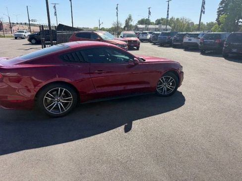 Used 2017 Ford Mustang Coupe w/ Enhanced Security Package RWD image 13