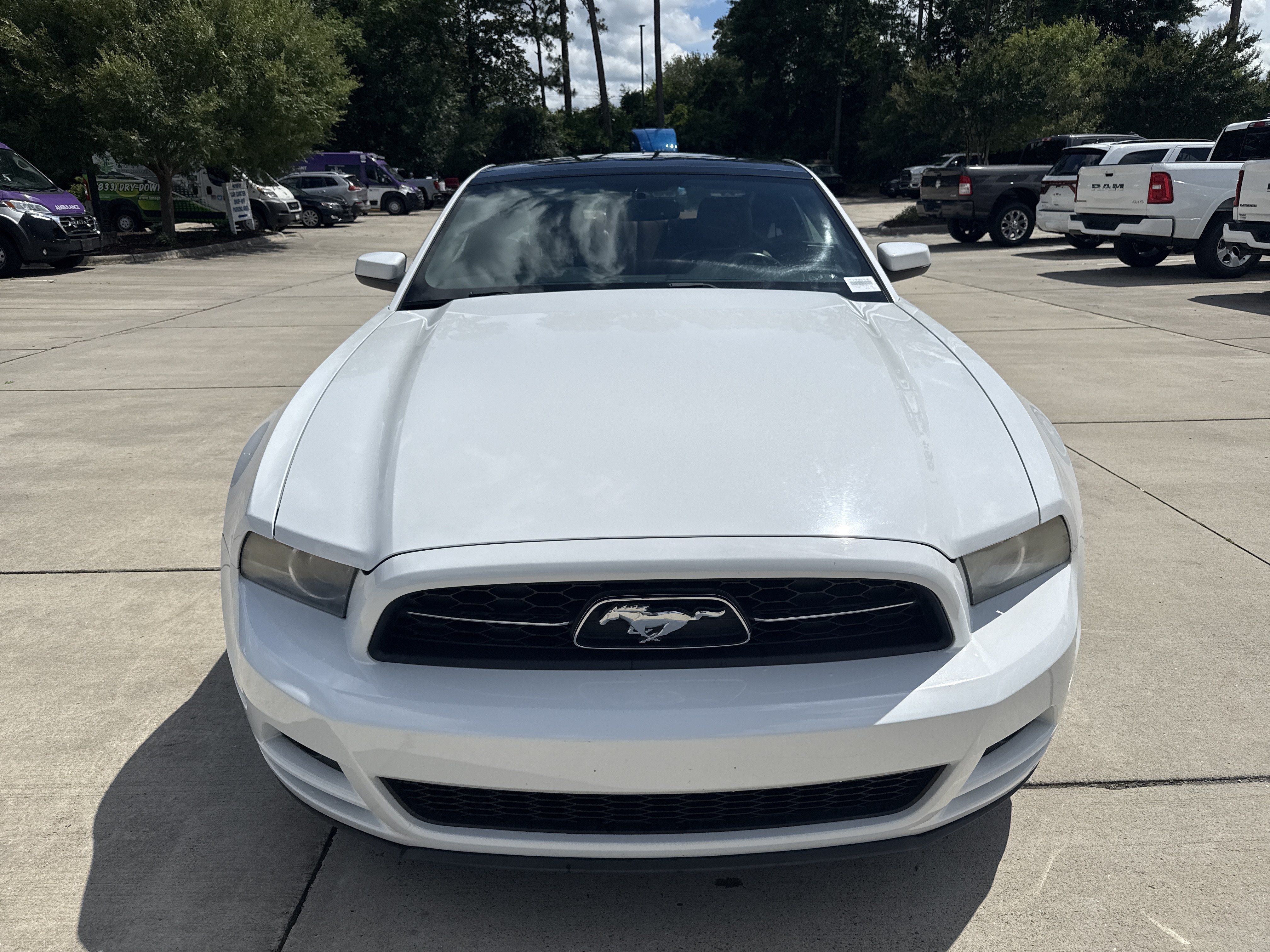 Used 2014 Ford Mustang Premium w/ Equipment Group 202A RWD image 3