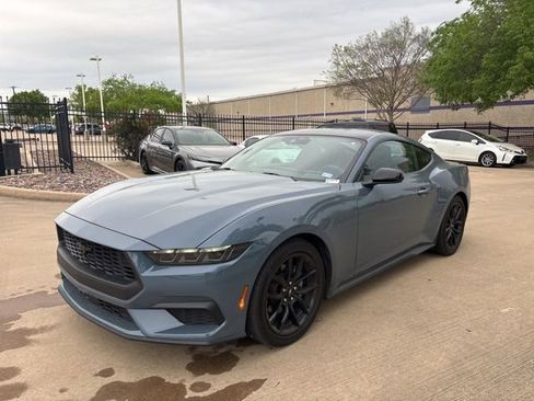 Used 2024 Ford Mustang Coupe w/ Mustang Nite Pony Package image 1