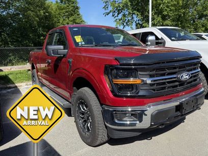 Used 2025 Ford F150 XLT w/ Equipment Group 301A Standard