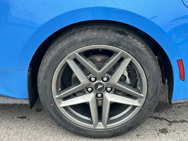 New 2026 Ford Mustang Coupe RWD image 12
