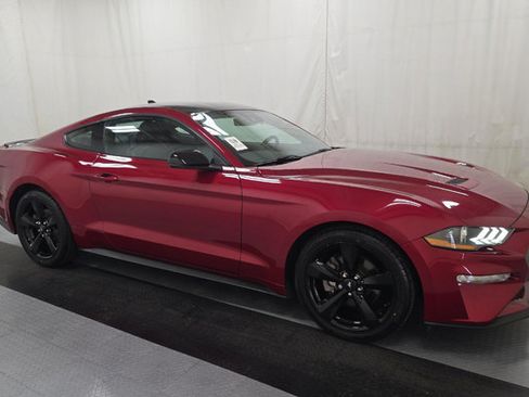 Used 2021 Ford Mustang Premium RWD image 2