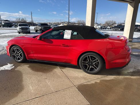 Used 2019 Ford Mustang Premium image 2