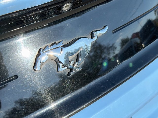 Certified 2021 Ford Mustang Premium RWD image 12
